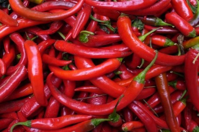 Kata Peneliti, Cabai Itu Ternyata Resep Rahasia Untuk Panjang Umur